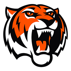 Логотип хоккейный клуб Амурские тигры Амурские тигры