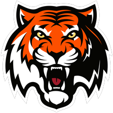 Логотип хоккейный клуб Амур Амур